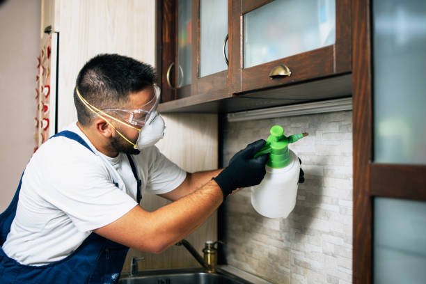 Best Commercial Pest Control Services  in Westworth Village, TX