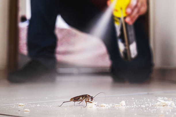 Best Cockroach Control Services  in Westworth Village, TX