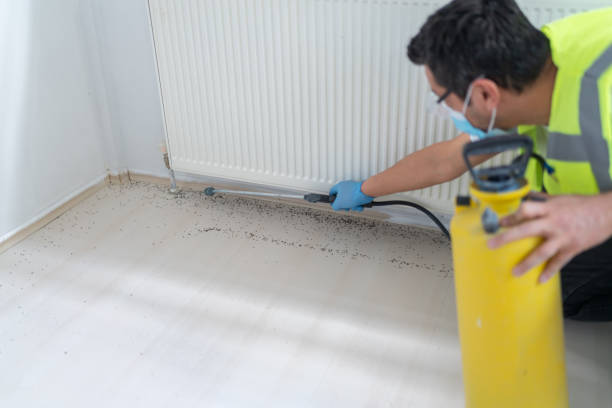Best Insect Control  in Westworth Village, TX