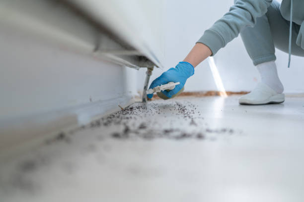 Best Cockroach Control Services  in Westworth Village, TX